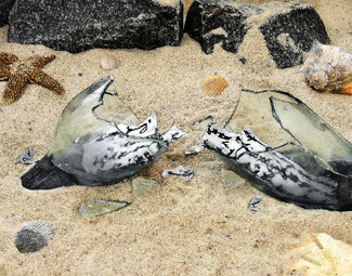 A Message Unread Color Awards Winners and Nominees