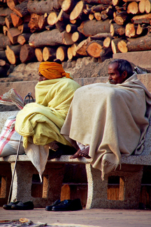 Where Are The Woods? Color Awards Winners and Nominees