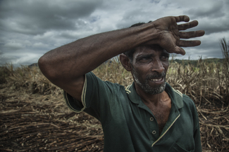 Fijian Indian Truck Driver Color Awards Winners and Nominees