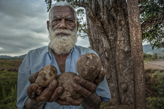 Elderly Fijian Indian Man Color Awards Winners and Nominees