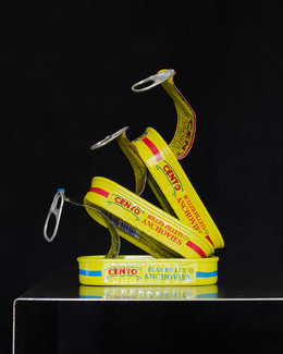 Anchovies Color Awards Winners and Nominees