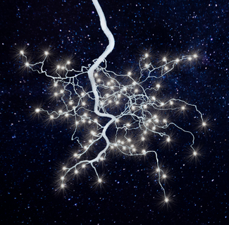 Systems V - Transition zones Color Awards Winners and Nominees