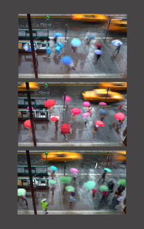 Rain in New York Color Awards Winners and Nominees