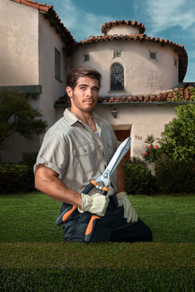 Beverly Hills Gardner Color Awards Winners and Nominees