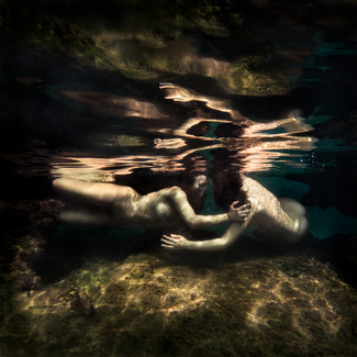 Ars Amandi Libertas #1 Color Awards Winners and Nominees