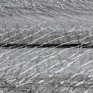 Line Color Awards Winners and Nominees