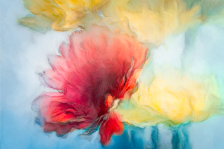 Bringing Joy Color Awards Winners and Nominees