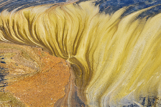 Marsh Abstract Color Awards Winners and Nominees