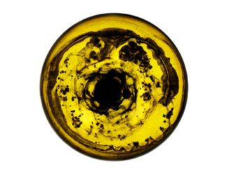 Sumi-e & Olive oil Color Awards Winners and Nominees