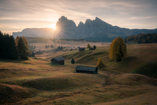 Alpe di Siusi Color Awards Winners and Nominees
