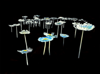 Tutu Pretty Color Awards Winners and Nominees