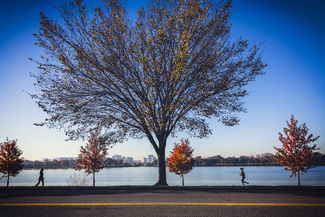 Morning Workout Color Awards Winners and Nominees