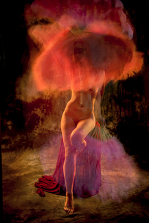 In the heat of the night Color Awards Winners and Nominees