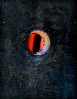 Abyss Color Awards Winners and Nominees