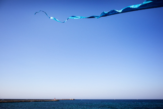 The blue coincidence Color Awards Winners and Nominees