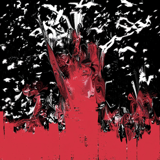Red, Black & White Color Awards Winners and Nominees