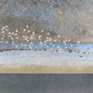 Flight Path Color Awards Winners and Nominees