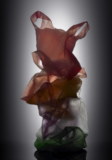 Untitled (1) Color Awards Winners and Nominees