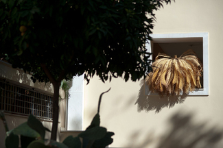 Foederer_Sander_02 Color Awards Winners and Nominees