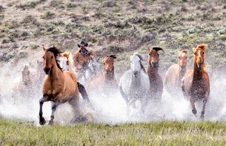 Through The Water Color Awards Winners and Nominees