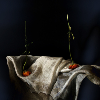 Exercise 1330 Color Awards Winners and Nominees