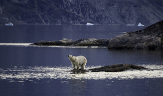 Scoresby Sound 3696 Color Awards Winners and Nominees