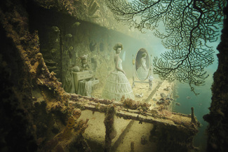 Marie Color Awards Winners and Nominees