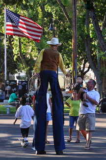 Howdy Cowboy Color Awards Winners and Nominees