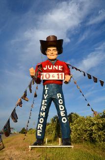 Rodeo Man Color Awards Winners and Nominees