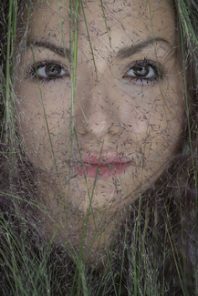 Greta Color Awards Winners and Nominees