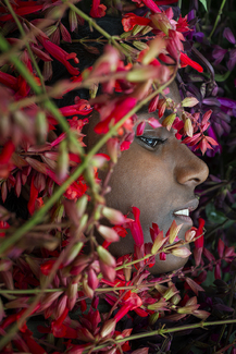 Mehala Color Awards Winners and Nominees