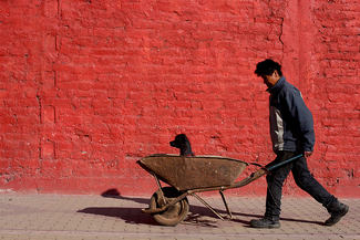 Man with his Dog Color Awards Winners and Nominees