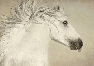 Unbridled Color Awards Winners and Nominees