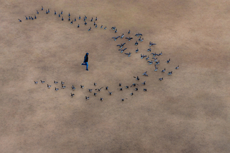 boy Color Awards Winners and Nominees