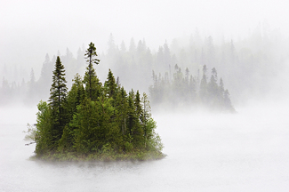 Island in the Mist Color Awards Winners and Nominees