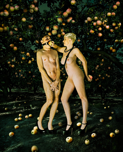 Garden of Heavenly Delights Garden of Heavenly Delights