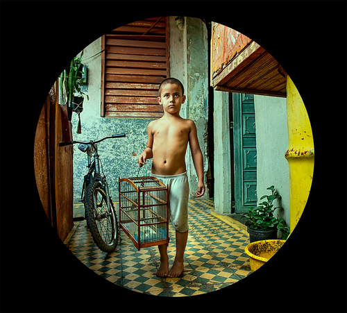 A Boy and a Bird A Boy and a Bird