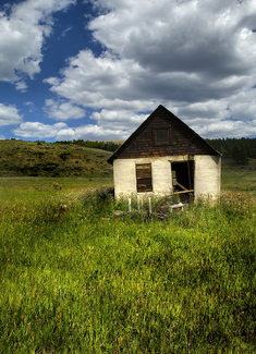 Colorado Homestead Color Awards Winners and Nominees