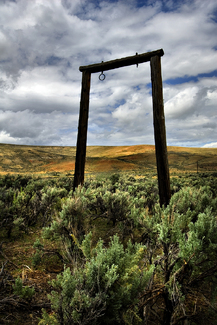 Ghost Town of Sage Color Awards Winners and Nominees