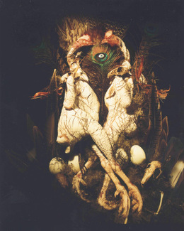 Phantasmagoria 2a Color Awards Winners and Nominees