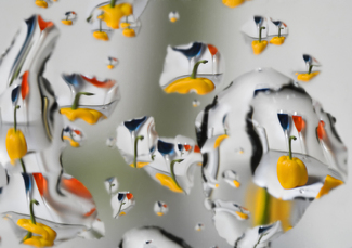 Yellow Submarine Color Awards Winners and Nominees