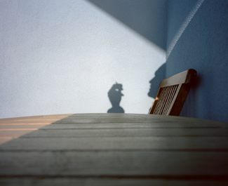 Blue and Brown Selfportrait Color Awards Winners and Nominees