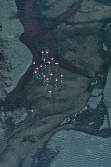 Pink on blue Color Awards Winners and Nominees