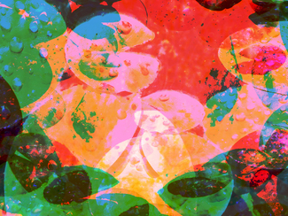 Picasso meets Monet Color Awards Winners and Nominees