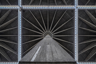 Concrete Flower Color Awards Winners and Nominees