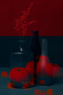 Untitled Color Awards Winners and Nominees