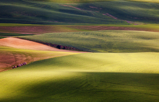 About Time Color Awards Winners and Nominees