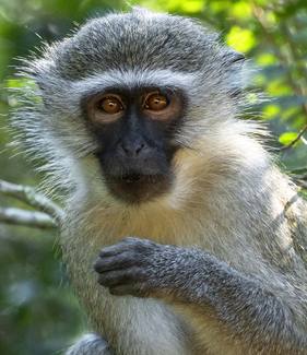 The Eyes Have It Color Awards Winners and Nominees