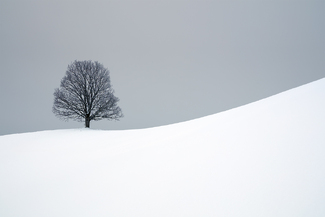 In Search of Silence - Saint-Anna Color Awards Winners and Nominees