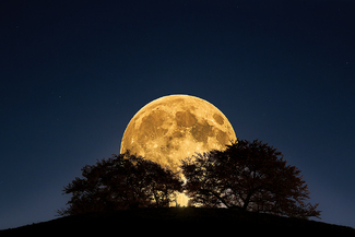 Full Moon (1) Color Awards Winners and Nominees